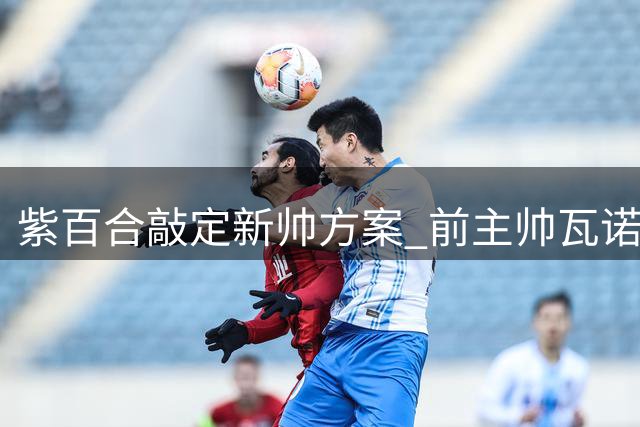 紫百合敲定新帅方案 前主帅瓦诺利即将二次入主